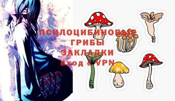 гидра Алексин