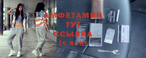 молекула духа Алексеевка